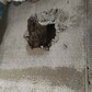 Фото покупателя