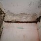 Фото покупателя