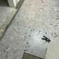 Фото покупателя