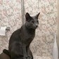 Фото покупателя