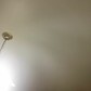 Фото покупателя