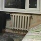 Фото покупателя