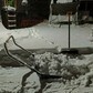 Фото покупателя