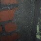 Фото покупателя