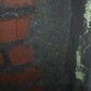 Фото покупателя