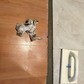 Фото покупателя