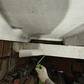 Фото покупателя