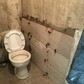 Фото покупателя