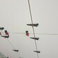 Фото покупателя