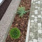 Фото покупателя
