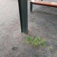Фото покупателя
