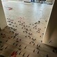 Фото покупателя