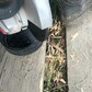 Фото покупателя