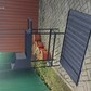 Фото покупателя