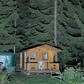 Фото покупателя