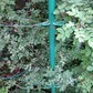 Фото покупателя