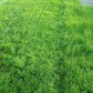 Фото покупателя