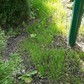 Фото покупателя