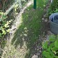 Фото покупателя