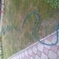 Фото покупателя