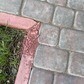 Фото покупателя