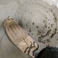 Фото покупателя