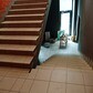 Фото покупателя