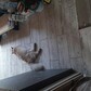 Фото покупателя