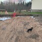 Фото покупателя
