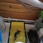Фото покупателя