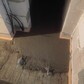 Фото покупателя