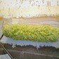 Фото покупателя