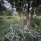 Фото покупателя