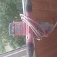 Фото покупателя