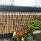 Фото покупателя