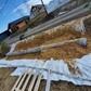 Фото покупателя