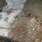 Фото покупателя