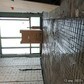 Фото покупателя