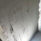 Фото покупателя