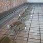 Фото покупателя