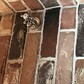 Фото покупателя