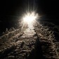 Фото покупателя