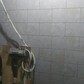 Фото покупателя