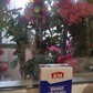 Фото покупателя