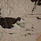 Фото покупателя