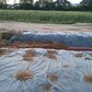 Фото покупателя