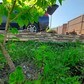Фото покупателя