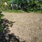 Фото покупателя