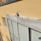 Фото покупателя