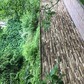 Фото покупателя